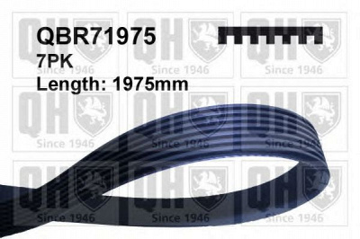 QUINTON HAZELL qbr71975 -  Поликлиновой ремень